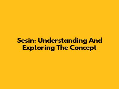 Sesin: Understanding And Exploring The Concept