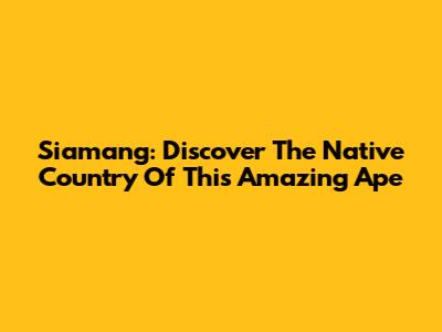 Siamang: Discover The Native Country Of This Amazing Ape