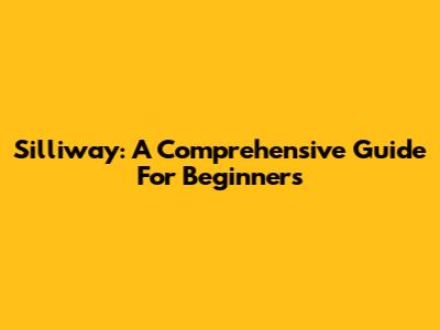 Silliway: A Comprehensive Guide For Beginners