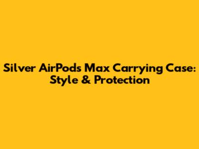 Silver AirPods Max Carrying Case: Style & Protection