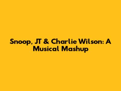Snoop, JT & Charlie Wilson: A Musical Mashup