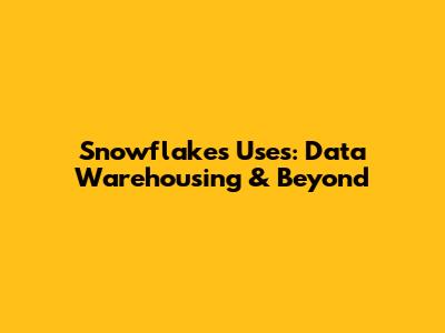 Snowflake's Uses: Data Warehousing & Beyond