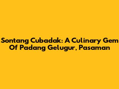 Sontang Cubadak: A Culinary Gem Of Padang Gelugur, Pasaman