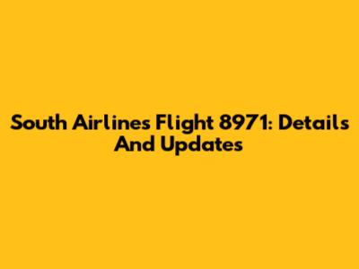 South Airlines Flight 8971: Details And Updates