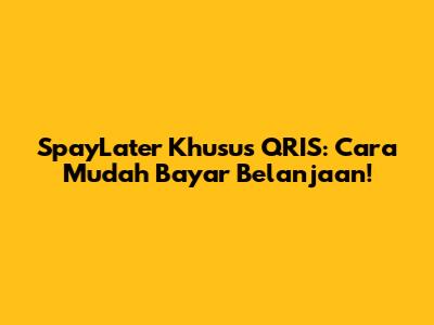 SpayLater Khusus QRIS: Cara Mudah Bayar Belanjaan!
