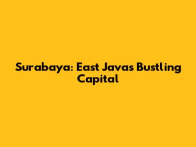 Surabaya: East Java's Bustling Capital