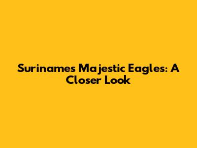 Suriname's Majestic Eagles: A Closer Look