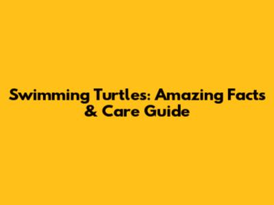 Swimming Turtles: Amazing Facts & Care Guide
