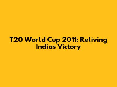 T20 World Cup 2011: Reliving India's Victory