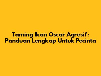 Taming Ikan Oscar Agresif: Panduan Lengkap Untuk Pecinta