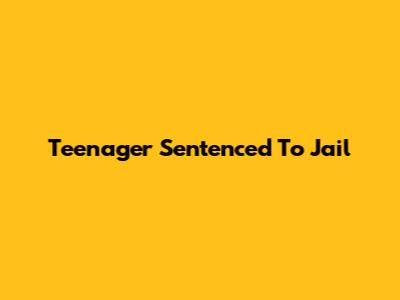 Teenager Sentenced To Jail