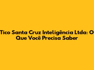 Tico Santa Cruz Inteligência Ltda: O Que Você Precisa Saber