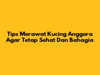 Tips Merawat Kucing Anggora Agar Tetap Sehat Dan Bahagia