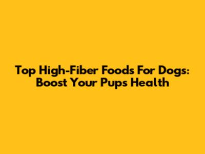 Top High-Fiber Foods For Dogs: Boost Your Pup's Health