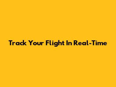 Track Your Flight In Real-Time