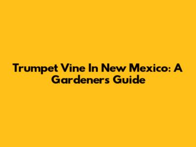 Trumpet Vine In New Mexico: A Gardener's Guide