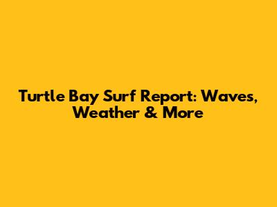 Turtle Bay Surf Report: Waves, Weather & More