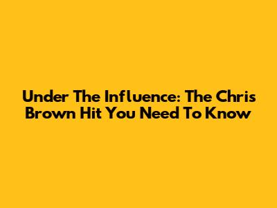 Under The Influence: The Chris Brown Hit You Need To Know