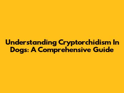 Understanding Cryptorchidism In Dogs: A Comprehensive Guide