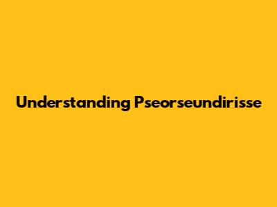 Understanding Pseorseundirisse
