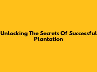 Unlocking The Secrets Of Successful Plantation