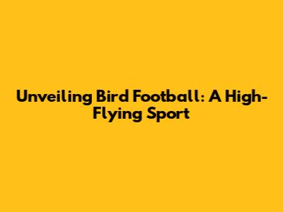 Unveiling Bird Football: A High-Flying Sport