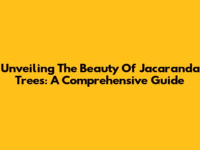 Unveiling The Beauty Of Jacaranda Trees: A Comprehensive Guide