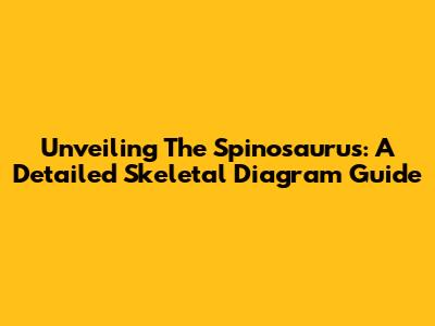 Unveiling The Spinosaurus: A Detailed Skeletal Diagram Guide