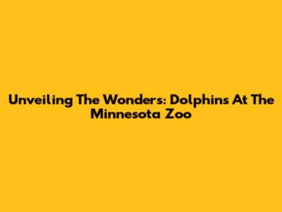 Unveiling The Wonders: Dolphins At The Minnesota Zoo