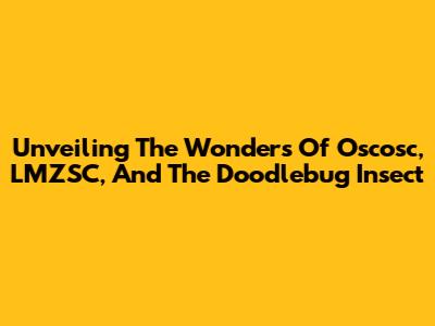 Unveiling The Wonders Of Oscosc, LMZSC, And The Doodlebug Insect
