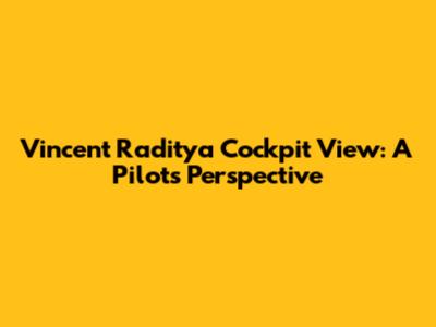 Vincent Raditya Cockpit View: A Pilot's Perspective
