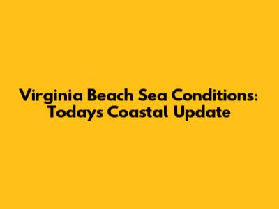 Virginia Beach Sea Conditions: Today's Coastal Update