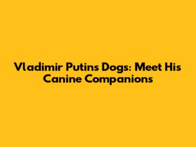 Vladimir Putin's Dogs: Meet His Canine Companions