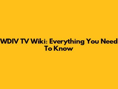 WDIV TV Wiki: Everything You Need To Know