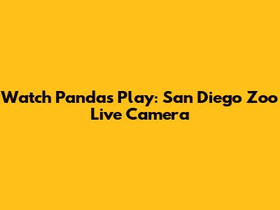 Watch Pandas Play: San Diego Zoo Live Camera