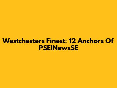 Westchester's Finest: 12 Anchors Of PSEINewsSE