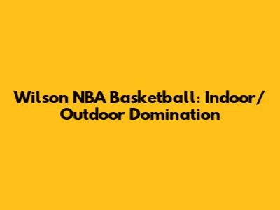 Wilson NBA Basketball: Indoor/Outdoor Domination