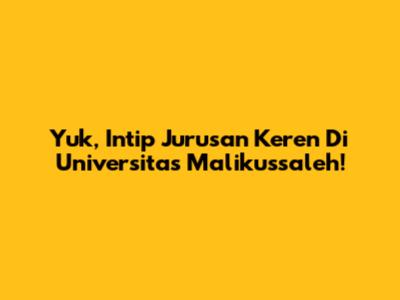 Yuk, Intip Jurusan Keren Di Universitas Malikussaleh!