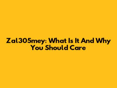 Zal305mey: What Is It And Why You Should Care