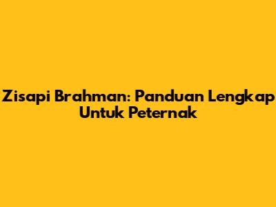 Zisapi Brahman: Panduan Lengkap Untuk Peternak